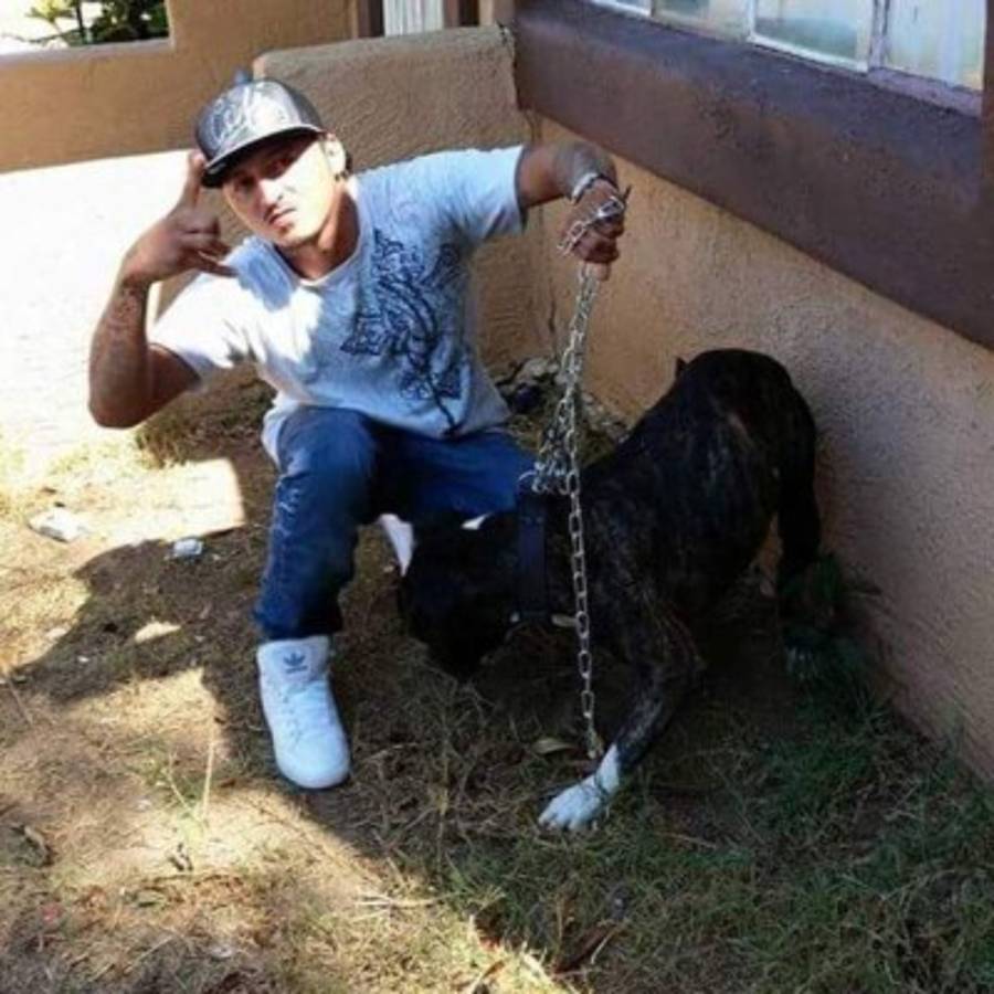 Hallan muerto a presunto 'coyote' en la colonia San Jorge, Cofradía; tenía dos semanas de estar en Honduras