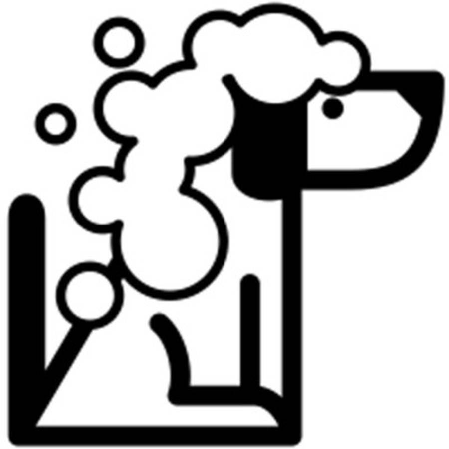 Consejos para bañar al perro adecuadamente