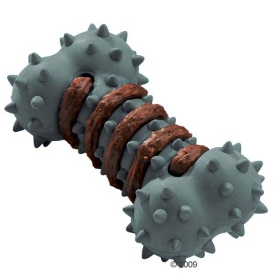 Los cuidados que necesita su cachorro