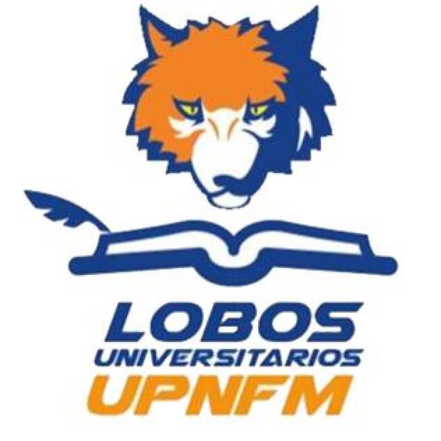 Altas y bajas del torneo Apertura 2024 de la Liga Nacional de Honduras