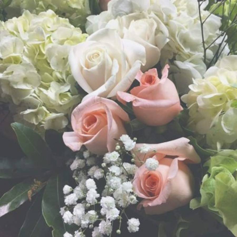 Ana Alvarado, a un paso de dar el sí en el altar