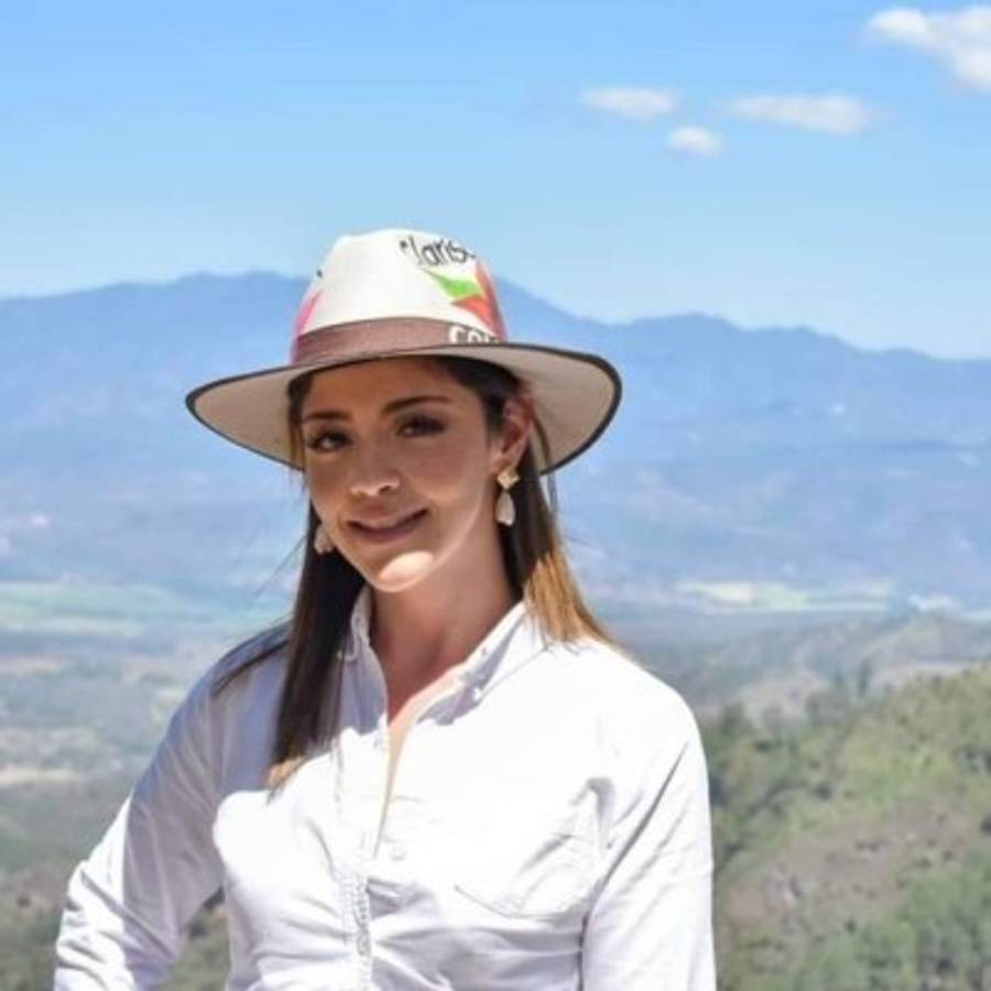 Bebesaurios de la política: Hijos o familiares de políticos que ganaron un cargo en las elecciones