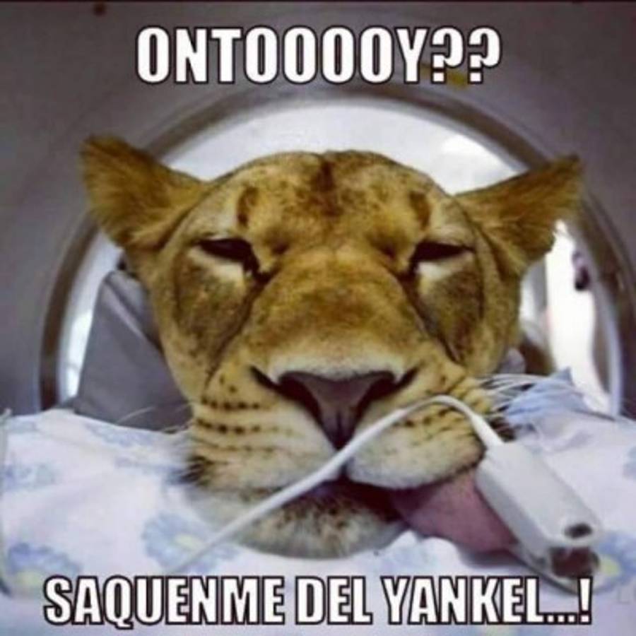 Los memes por la derrota de Olimpia ante Herediano