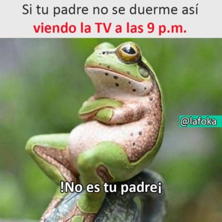 Los mejores chistes de la semana