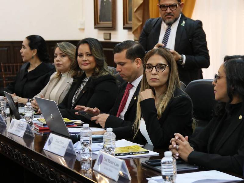 ​La estrategia de la comisión de Investigación ahora apunta hacia el fortalecimiento del informe final mediante el testimonio de terceros.