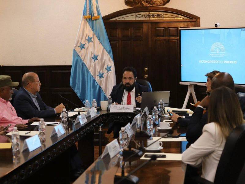 Todos los legisladores activos bajo investigación pertenecen a la bancada del Partido Libertad y Refundación (Libre).