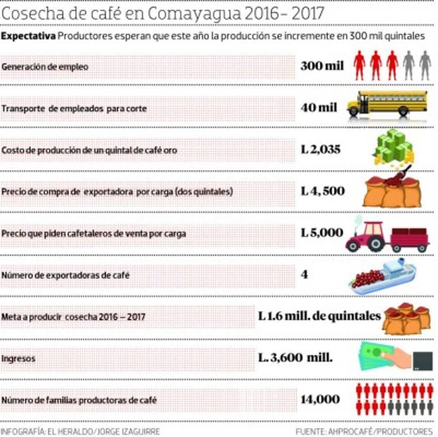 Honduras: La venta de café sostiene a Comayagua