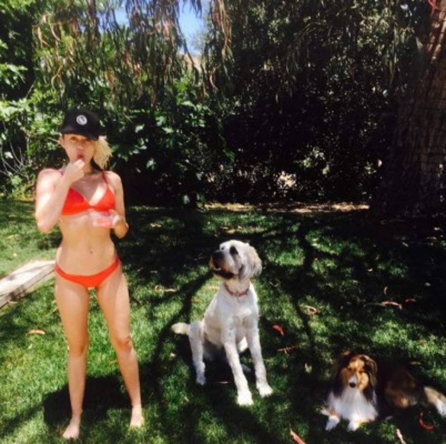 Miley posa al lado de sus dos perros. La foto acumula más de un millón de likes. Foto @mileycyrus