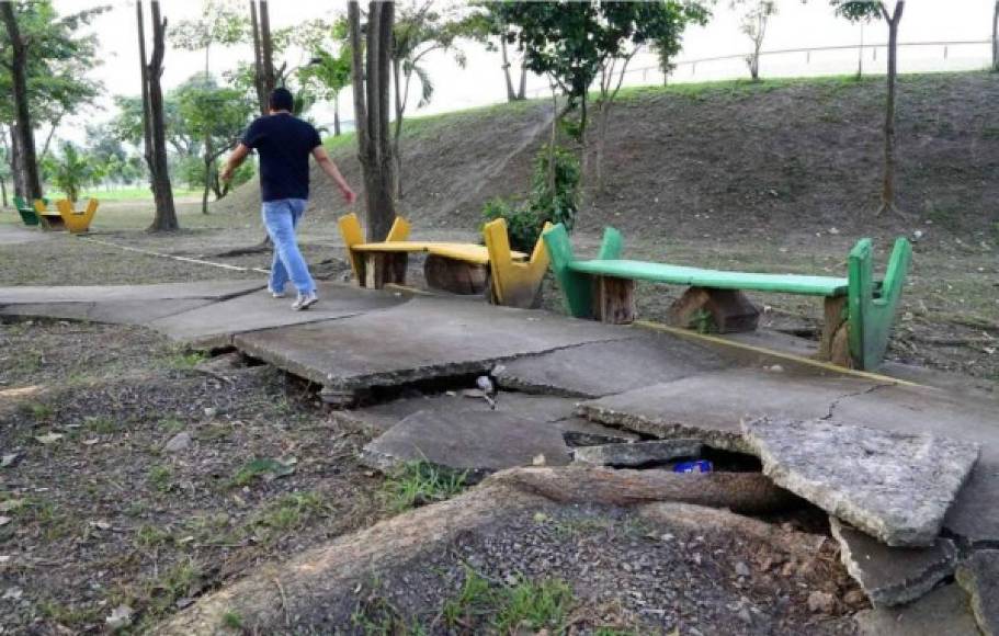 Abandonado y destruido: Así está el Estadio Olímpico; Condepor denunció las condiciones