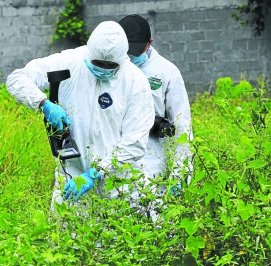 'Profunda preocupación” por crímenes contra menores