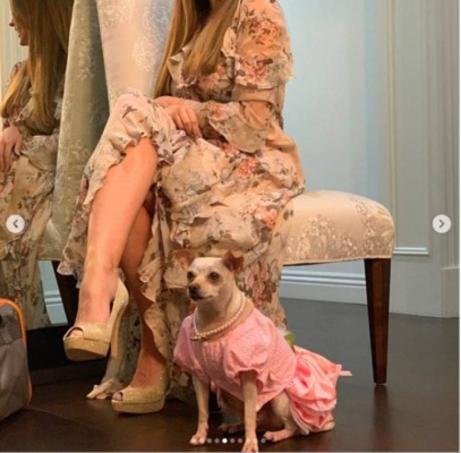 FOTOS: Sofía Vergara celebra extravagante fiesta de cumpleaños a su perrita