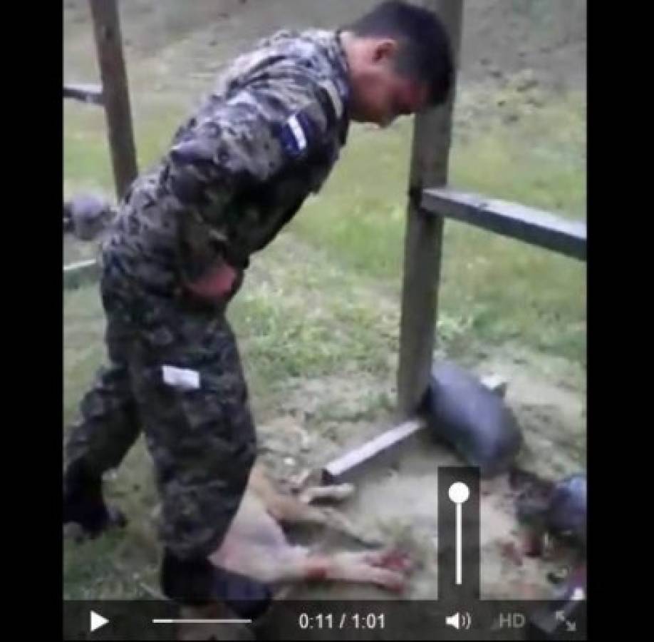 Soldados de Honduras matan a un perro