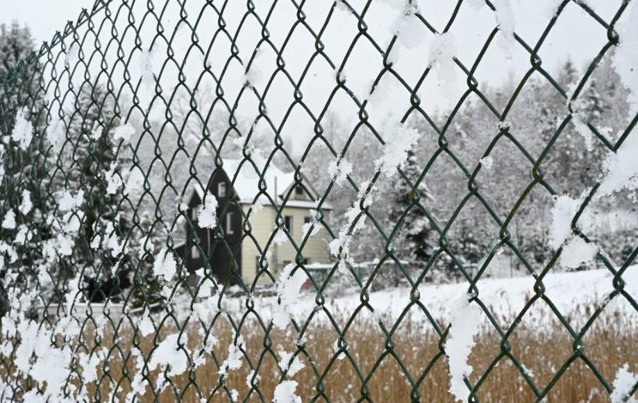 La mataron con 30 puñaladas, pero por tener menos de 14 años no serán acusadas: El impune crimen contra Luise que estremece a Alemania