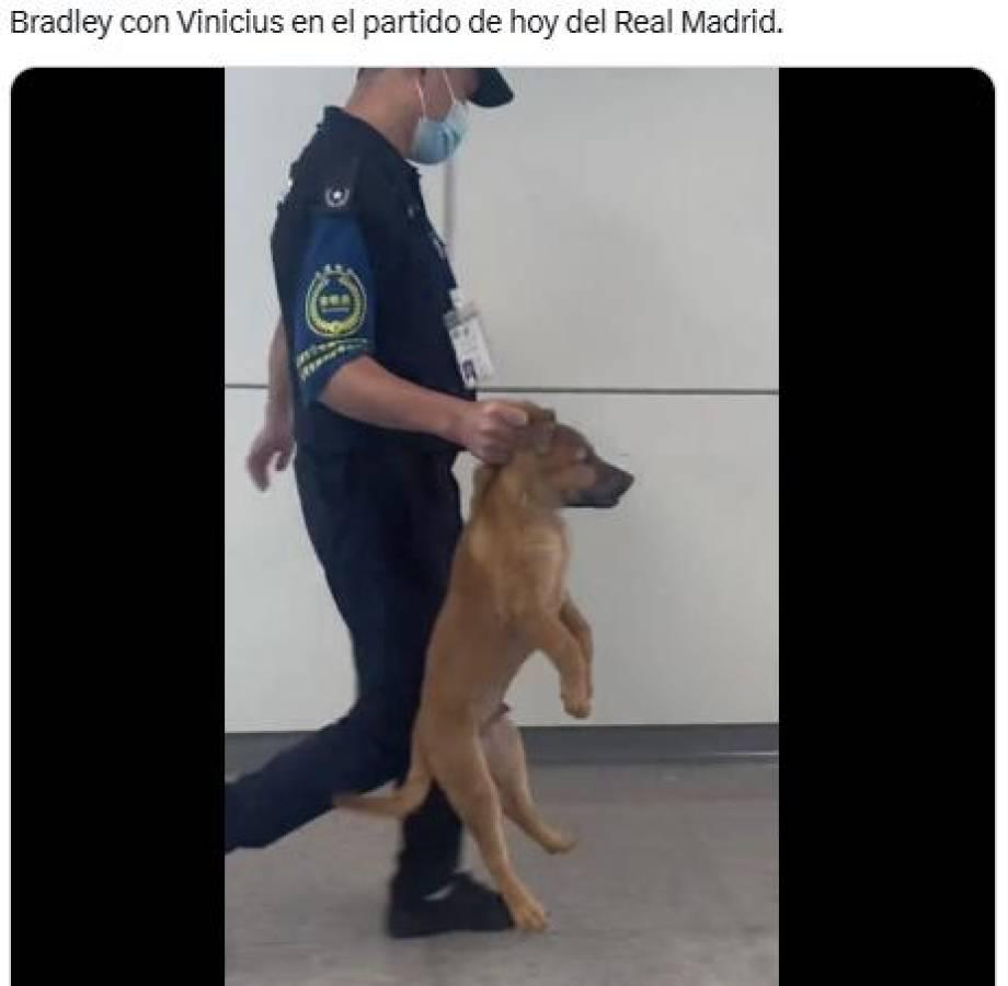 Vinicius y aficionados sufren: Los mejores memes que dejó el triunfo del Liverpool vs Real Madrid