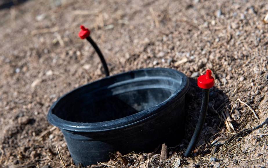 Construida sobre un desierto y considerada ciudad de los excesos: Las Vegas es hoy estrella en conservación del agua