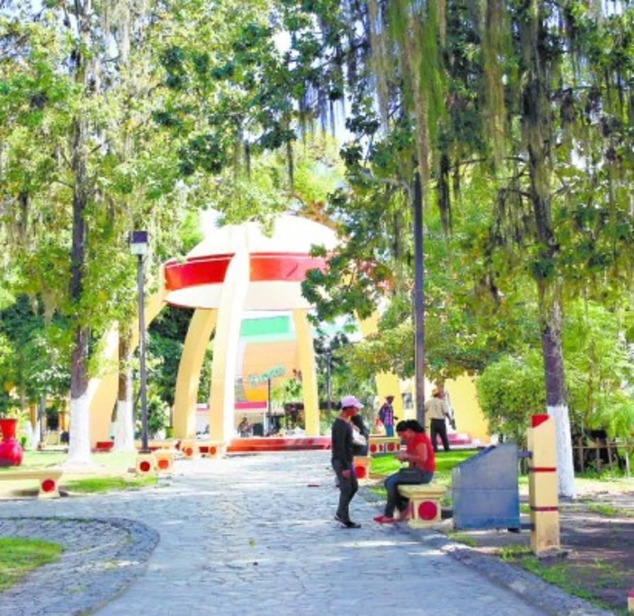 Cancelan los festivales del Pino y del Café por el coronavirus