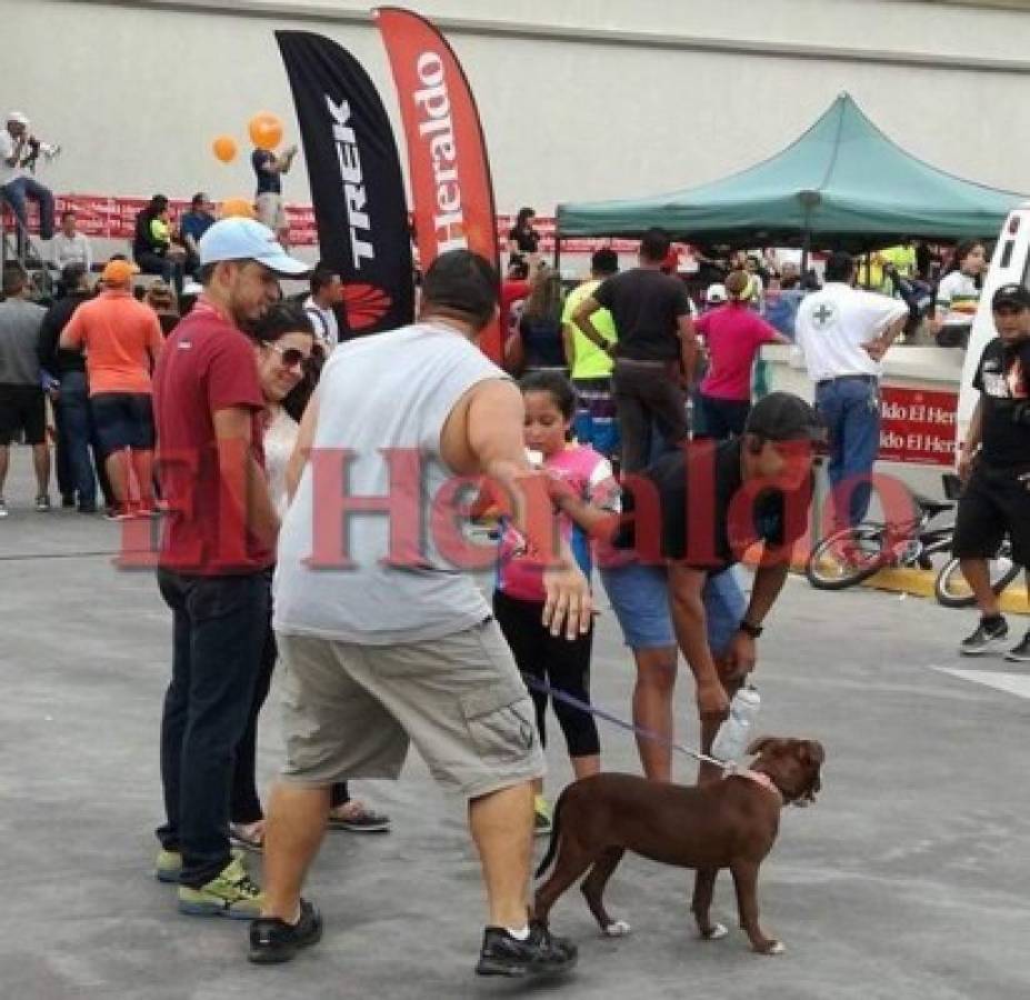 Moka, la pitbull que robó miradas en la Vuelta Ciclística Infantil