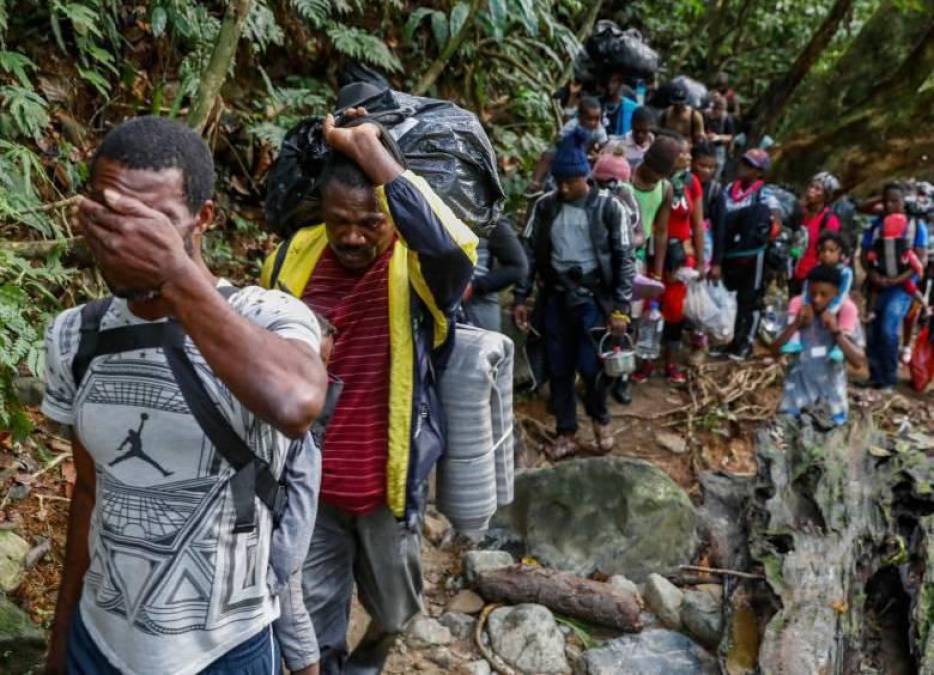 La selva del Darién: mafias, violencia sexual y animales, los peligros del conocido “tapón” de los migrantes