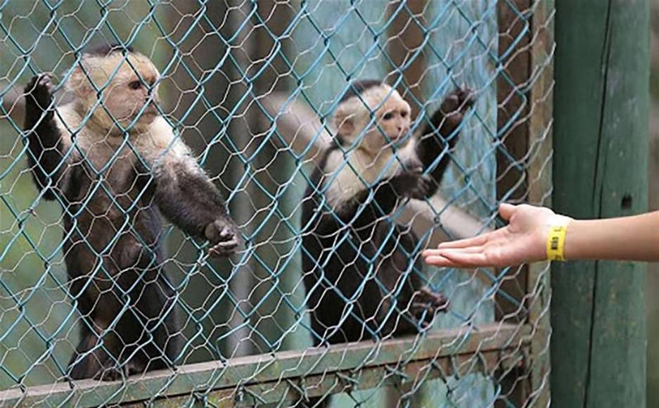 Escape de la ciudad: los mejores destinos cerca del Distrito Central para crear hermosos recuerdos y recargar energía esta Semana Santa