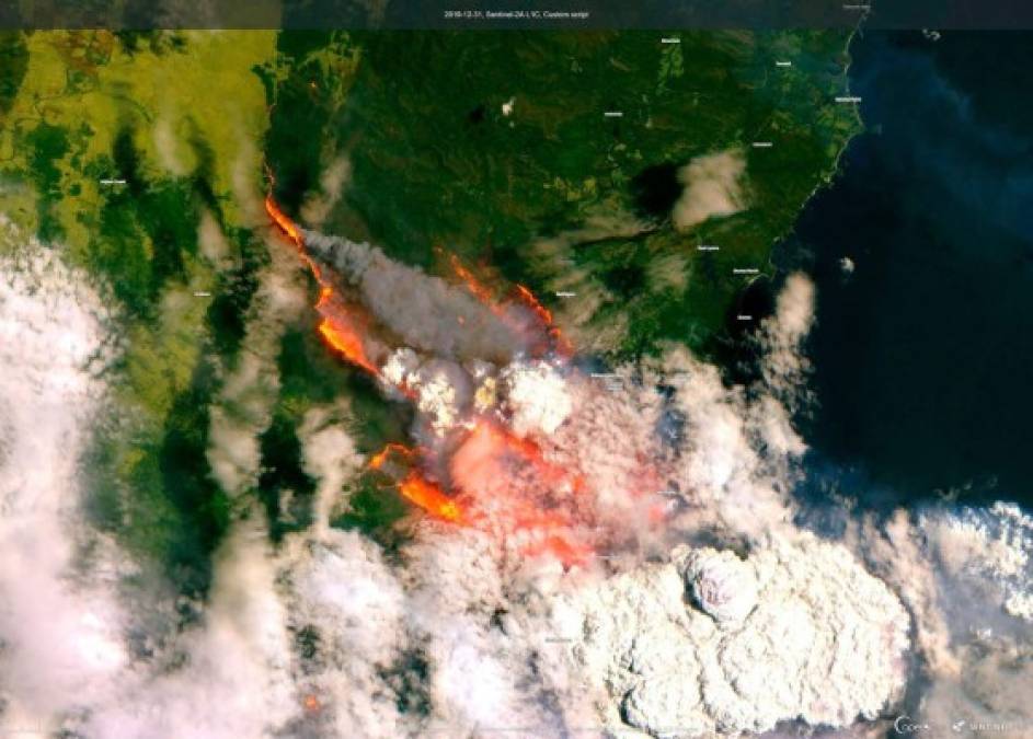 Mortíferos incendios forestales en Australia se observan desde el espacio