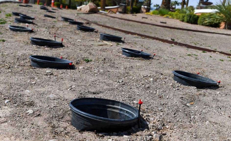 Construida sobre un desierto y considerada ciudad de los excesos: Las Vegas es hoy estrella en conservación del agua