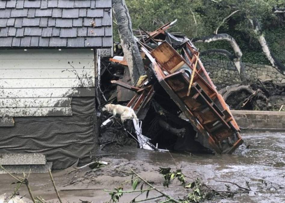 Escenas caóticas en California por inundaciones, deslaves y muerte