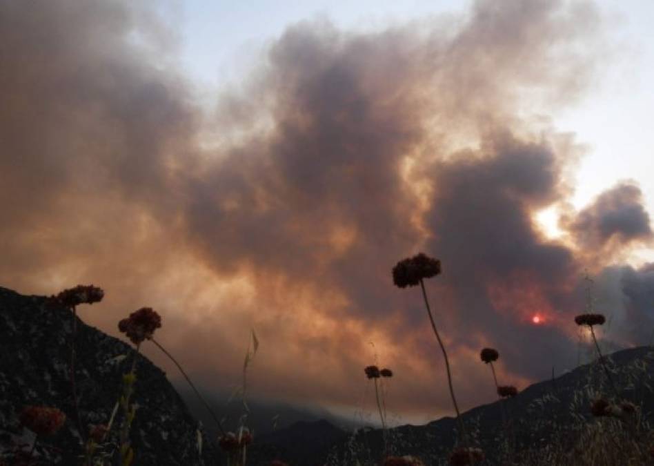 Personas atrapadas, evacuaciones y destrozos por incendios en California (FOTOS)  