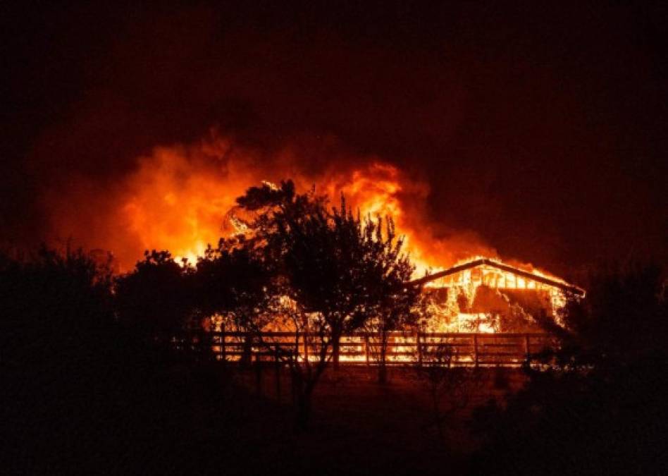 Impactantes imágenes de la emergencia por incendios en California