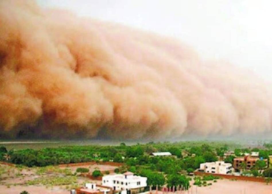 La nube de polvo del Sahara y sus múltiples beneficios para la vegetación