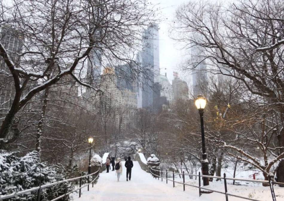 Neoyorquinos viven su primera nevada en los últimos dos años