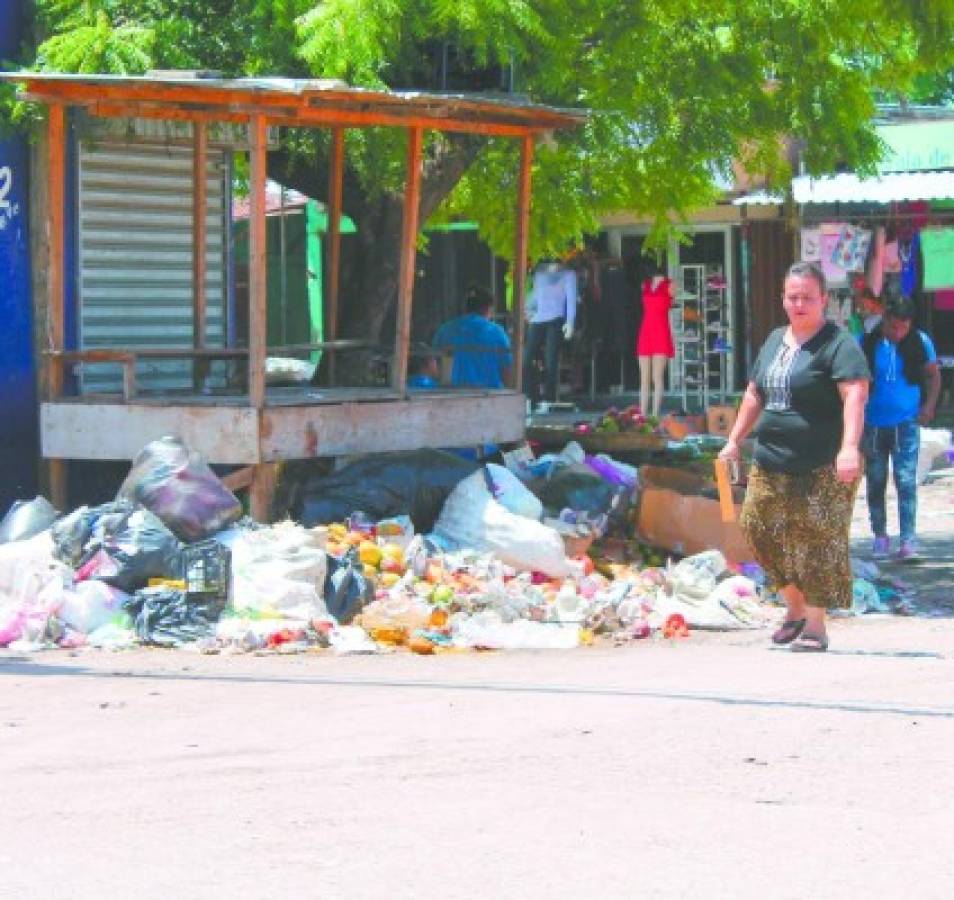 Choluteca lucha contra el dengue y el coronavirus