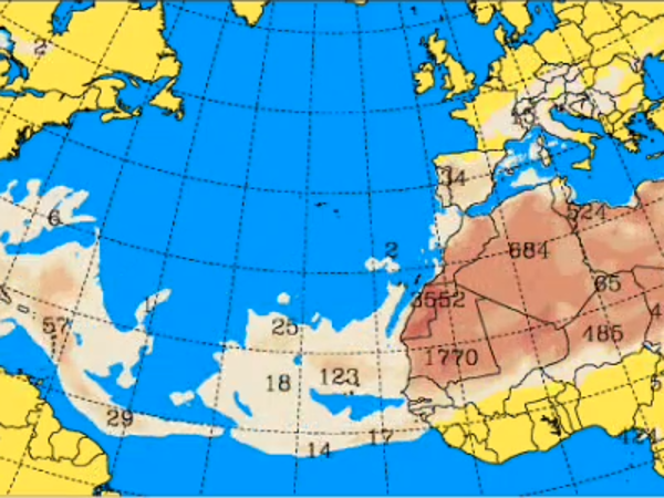 Las corrientes de polvo se movilizaron desde el Océano Atlántico hasta Centroamérica.
