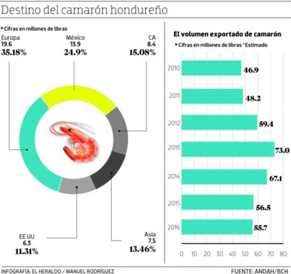 México cierra su mercado al camarón de Honduras
