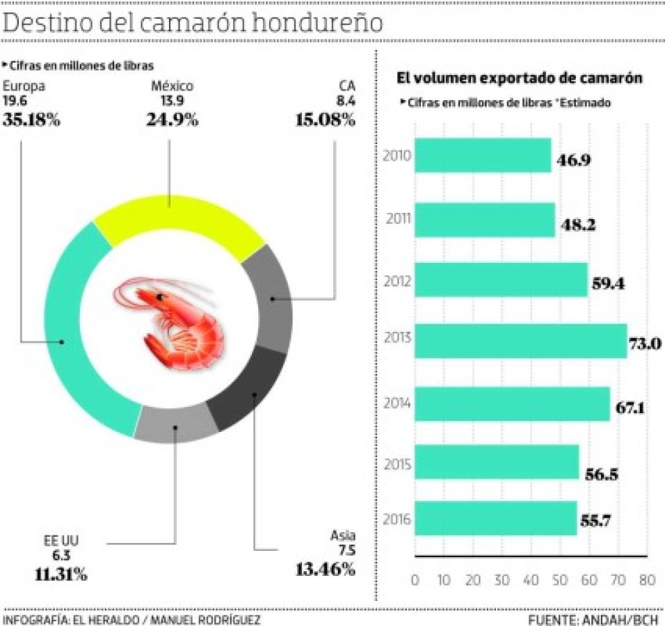 México cierra su mercado al camarón de Honduras