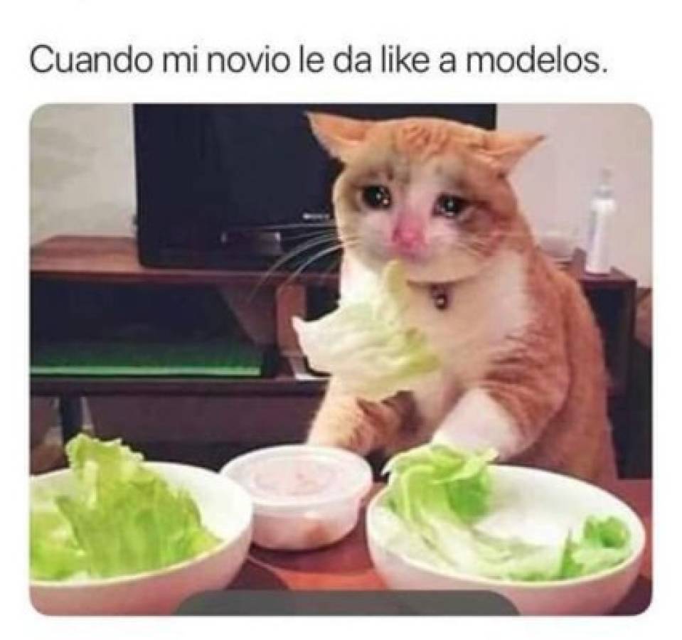 Para reír un poco...acá están los mejores chistes