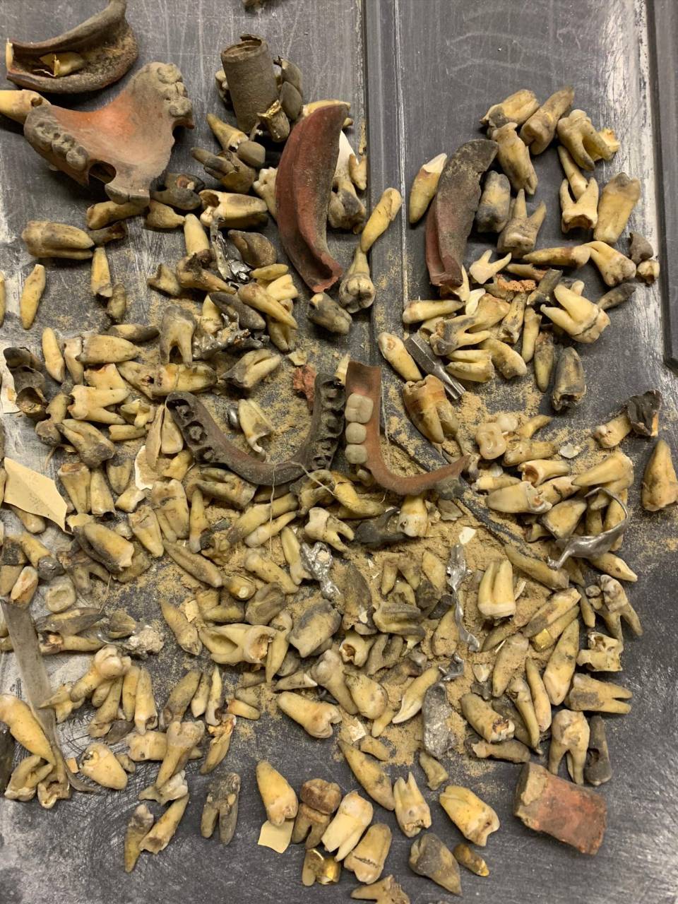 Obreros hallan centenares de dientes en el techo de un edificio de 1960