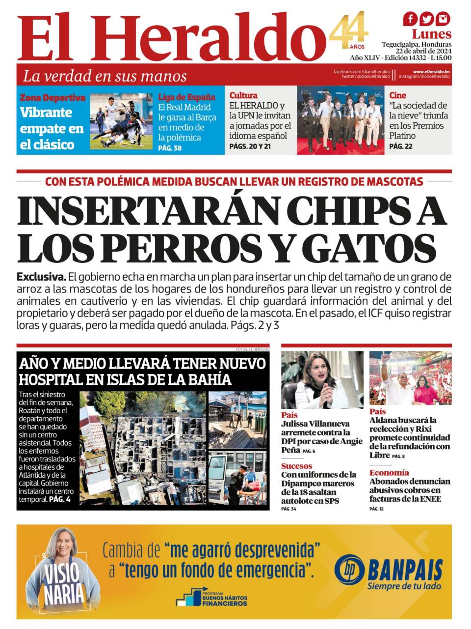 Insertarán chips a los perros y gatos