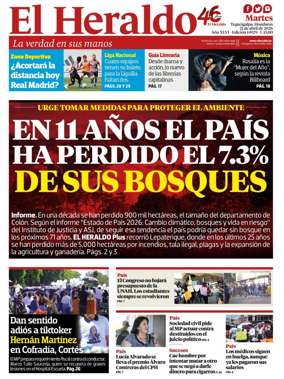 En 11 años el país ha perdido el 7.3% de sus bosques
