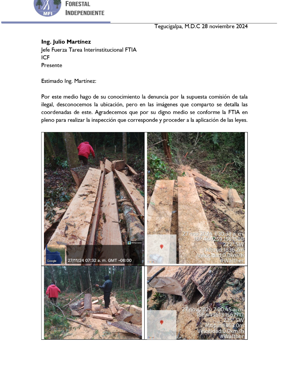 Tala ilegal en Lepaterique pone en peligro el futuro hídrico de Honduras