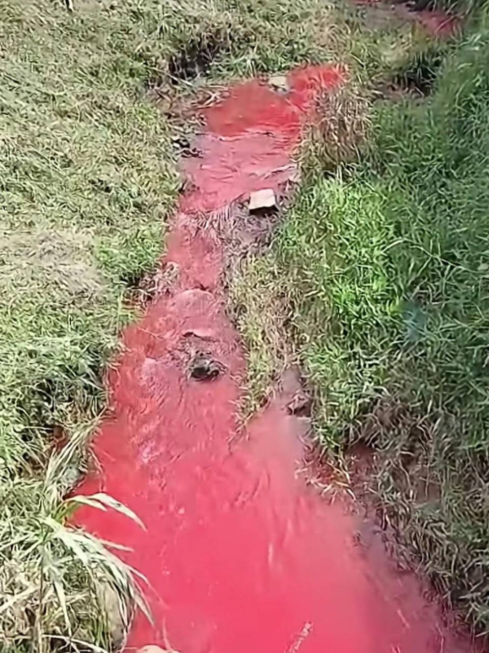 La preocupación se extiende a las comunidades ubicadas río abajo, donde el agua es aprovechada para actividades de piscicultura, agricultura, balneario.