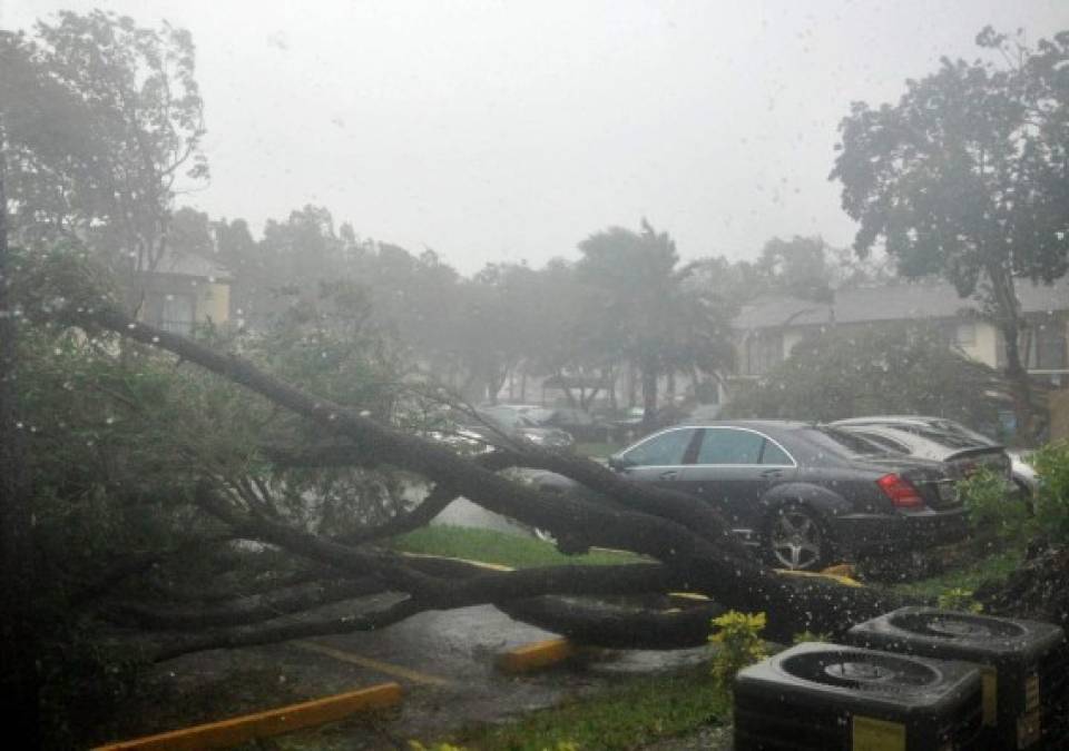 Las imágenes de una Florida azotada por el huracán Irma; ya son tres muertos