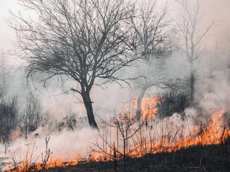 Más de 100 incendios se propagaban por la provincia, 29 de ellos fuera de control.