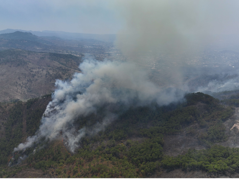 Desde el domingo, La Tigra es afectada por un incendio forestales que ha acabado con 400 hectáreas de bosque.