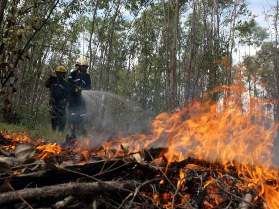 El ICF se explicó que estos siniestros han “afectado alrededor de 20 hectáreas de bosque