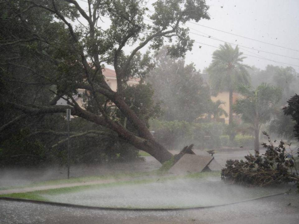 El meteoro ya “causa marejadas ciclónicas catastróficas, vientos e inundaciones en la península de Florida”, dijo NHC en su boletín.