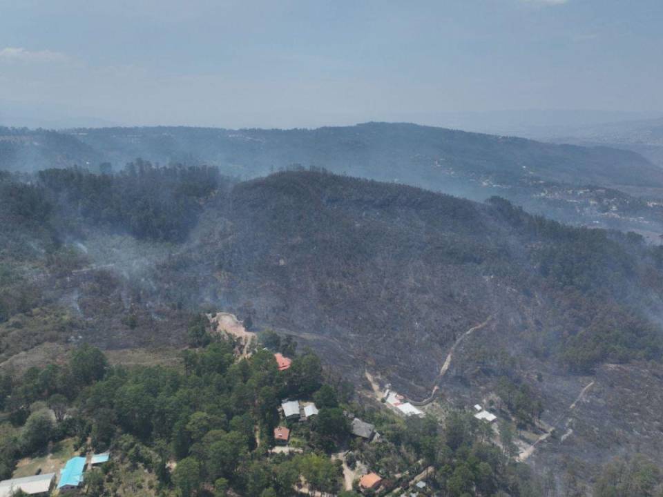 En su reporte el ICF declaró que de las 1,088.09 hectáreas afectadas, el 41% que equivale a 452.6 hectáreas fueron en “área de bosque”, lo demás se clasificó como “área de no bosque”.