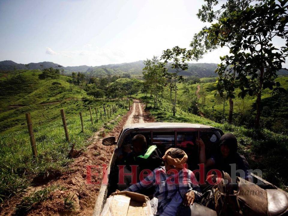 En la carretera ilegal no hay presencia de las Fuerzas Armadas de Honduras.
