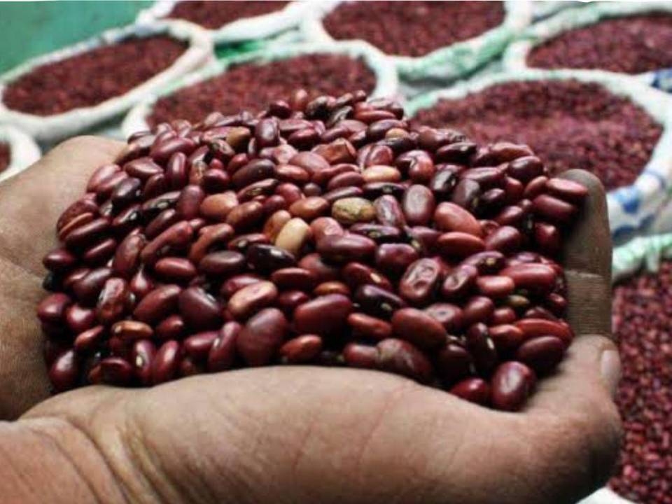 El Gobierno autorizó la importación de frijol libre de aranceles para garantizar el abastecimiento ante el riesgo de una menor producción provocada por los efectos de la crisis climática en varias zonas agrícolas del país.