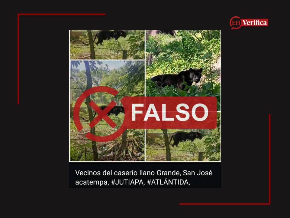 Captura de pantalla a un estado de WhatsApp hecha el 11 de julio de 2026.