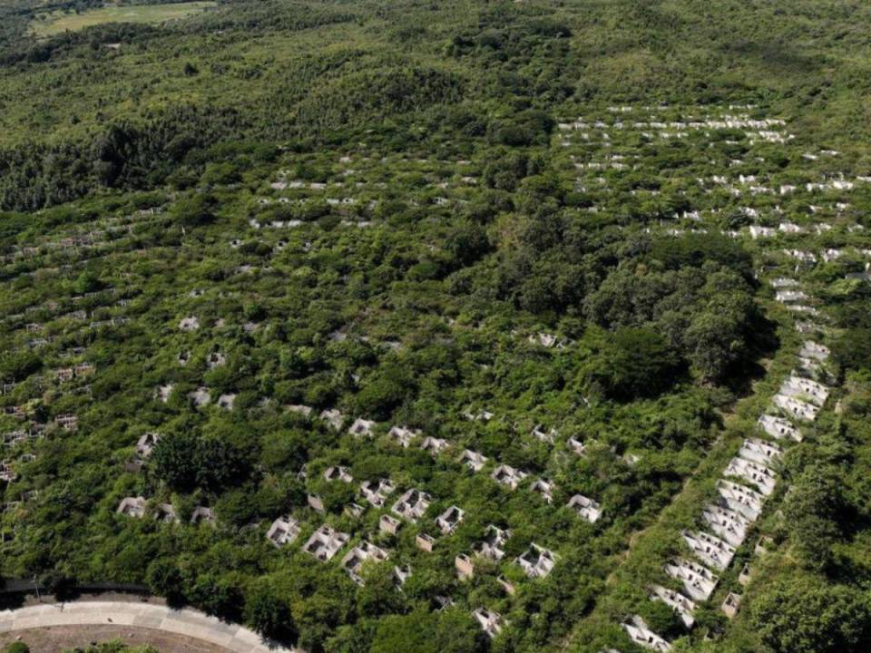 En la actualidad las viviendas del fallido proyecto habitacional se encuentran sumidas en la maleza, daños y abandono.